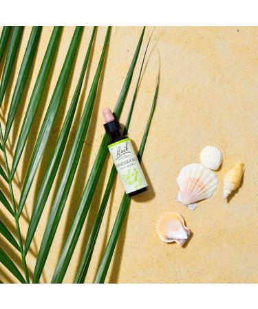 Bach Flower Remedies 1-38 Set - 20ml Bottles for Emotional Wellness - Buy Online on GoSupps.com