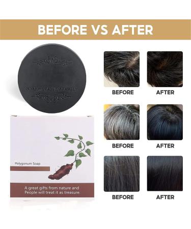 DUBUSH Blackening Shampoo for Hair Organic Reverse Gray Shampoo Natural Shampoo and Conditioner Solid Shampoo Against Hair Loss for Women and Men. - Buy Online on GoSupps.com