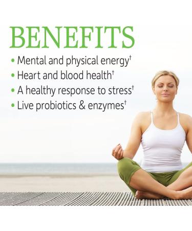 Garden of Life Vitamin Code Raw B Complex - 60 Vegan Capsules for Energy & Metabolism | High Potency B6, Folate & B12 with Probiotics - Buy Online on GoSupps.com