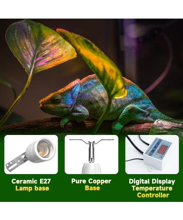 Lamptobe 200W Ceramic Heat Lamp Holder with Thermostat for Reptiles - Ideal for Snake, Turtle, Lizard - E27 Bulb Bracket - Buy Online on GoSupps.com