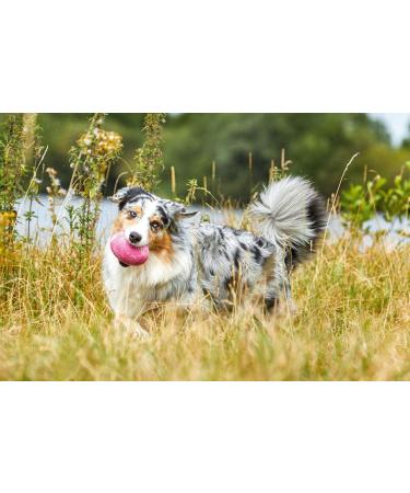 Wolters Ostrich Egg Size M 80x60mm - Premium Raspberry Color - International Shipping Available - Buy Online on GoSupps.com