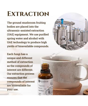 Ecodrop Organic Reishi Mushroom Double Extract Liquid Tincture 30ml - EU & Soil Association Certified - Manufactured in Finland - Buy Online on GoSupps.com