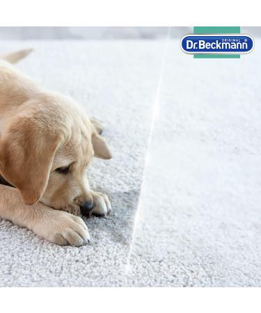 Dr. Beckmann Pet Stain & Odor Remover 650 ml | Effective Pet Stain Cleaner with Applicator Brush | Shop Internationally - Buy Online on GoSupps.com