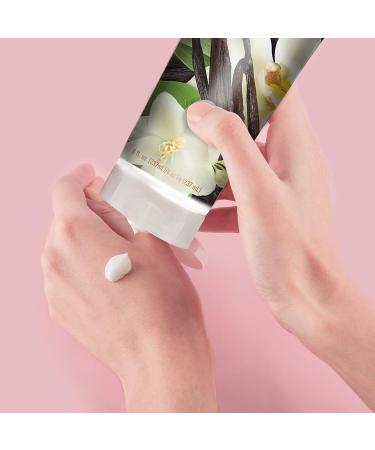 Desert Essence Spicy Vanilla Chai Hand & Body Lotion - 8 fl oz | Uplifting, Smoothes & Softens Skin | Aloe Vera, Shea Butter, Vitamin E - Buy Online on GoSupps.com