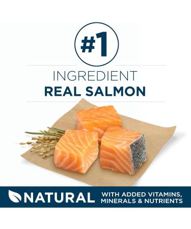 Purina ONE +Plus Dry Dog Food Skin & Coat with Salmon - 1.6 kg Bag 1.6 kg (Pack of 1) - Buy Online on GoSupps.com