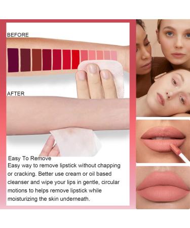 Lip Gloss Set Lipstick Set 3 Pcs Nude Lip Gloss Long Lasting Non Stick Cup Matte Liquid Lipstick Moisturizing Waterproof Pink Lipgloss Smooth Velvet Texture Lipstick Sets For Women - Buy Online on GoSupps.com