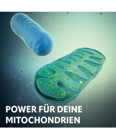 Vital Ultra Coenzyme Q10 - 60 Vegan Capsules | 200mg Fermented CoQ10 from Germany - No Additives - Buy Online on GoSupps.com