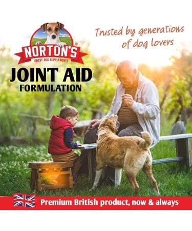 NORTON'S Dog Joint Care Supplements | 300 Tablets with Green Lipped Mussel, Glucosamine & Chondroitin for Stiff Joints | Hyaluronic Acid, Manganese, and Vitamins | Dog Joint Support - Buy Online on GoSupps.com