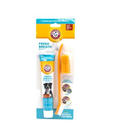 Arm and Hammer Fresh Breath Dental Kit for Pets - Pet Toothbrush and Pet Toothpaste with Baking Soda - Oral Care Dental Kit for Cat and Dog Teeth Cleaning - Toothbrushing Kit for Pets Dogs - Chicken Flavor 1 Pack - Buy Online on GoSupps.com