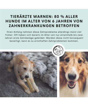 Annimally Dental Care Powder for Dogs - Natural Tartar Remover Yellow Teeth & Bad Breath Solution (350g XL) - Buy Online on GoSupps.com