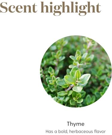 Young Living Thyme Essential Oil 15ml - Aromatic Diffuser | Bold Herbal Aroma for Relaxation & Wellness | Purifying & Cleansing Benefits - Buy Online on GoSupps.com