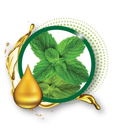 Broadway Vita-Lip Clear Lip Gloss 0.47oz/14ml (Mint Oil) - Pack of 3 - Buy Online on GoSupps.com