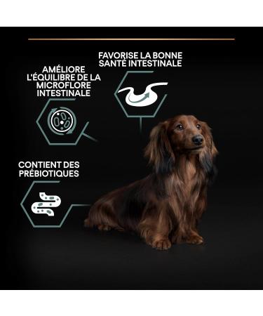 PURINA PRO PLAN | Small & Mini Adult 1+ Sensitive Digestion | Rich in Lamb | Dry Food | Dog | 3kg Bag - Buy Online on GoSupps.com