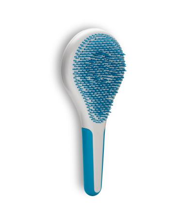 Michel Mercier Spa Brush - Detangling Hair Brush for Wet or Dry Hair  Shower Detangling Hair Brush For Women  Men (Thick Hair - Blue) Blue- Thick Hair