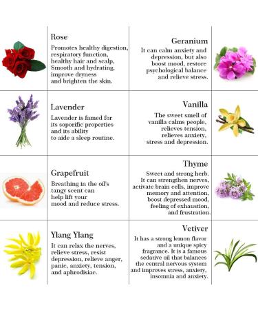 100% Pure Rose Essential Oil Set for Diffuser Aromatherapy Lavender Essential Oil Kit for Humidifier 8x10ml Therapeutic Grade Vanilla Vetiver Ylang Ylang Grapefruit Geranium Thyme Essential Oils - Buy Online on GoSupps.com