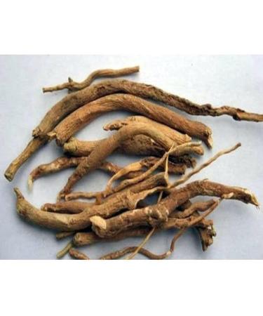 RAW HERB/JADI BOOTI PUNARNAVA ROOTS SATHI JADD BOERHAVIA DIFFUSA (100GM) - Buy Online on GoSupps.com