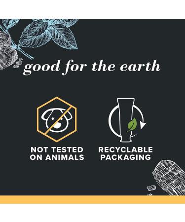 Burt's Bees Toothpaste Natural Flavor Charcoal with Fluoride Toothpaste Mountain Mint 3 x 4.7oz - Buy Online on GoSupps.com