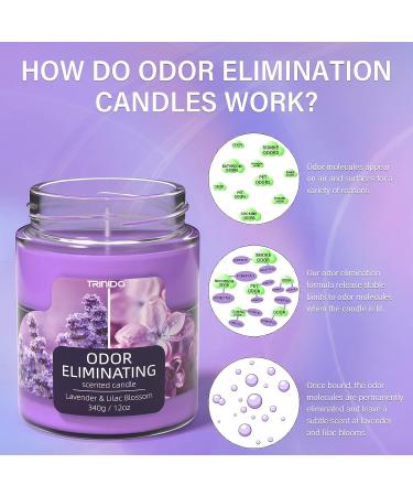 Lavender & Lilac Blossom Odor Eliminating Candle - Premium Soy Candle Gift Set | Eliminates 99% of Pet, Smoke & Food Smells | Highly Fragranced Candle for Women - Buy Online on GoSupps.com