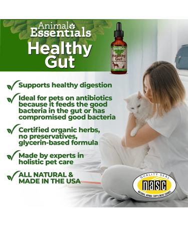 Animal Essentials Healthy Gut: Promote Digestive Health for Pets - Buy Online on GoSupps.com