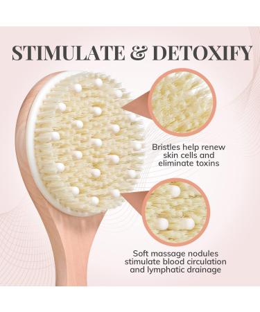 Vegan Dry Brushing Body Brush and Back Scrubber Set for Radiant Skin by Lily England - Buy Online on GoSupps.com