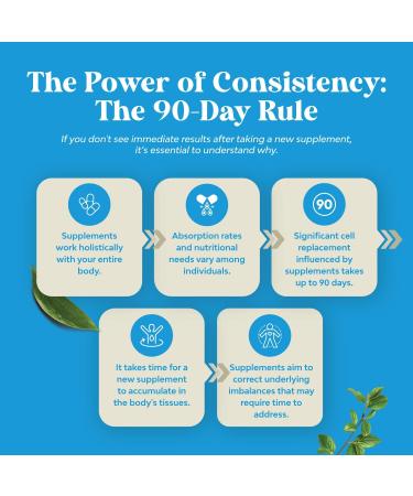 NAC Supplement N-Acetyl Cysteine 600mg - Vegan High Absorption Capsules for Liver Detox Lung Health & Immunity Support | 180 Servings - Buy Online on GoSupps.com