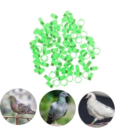 Kisangel 300 Pcs Pigeon Anklet Tag Where Pigeon Identification Ring Pigeons Leg Ring Baby Chicken 1.3X1.3CMx3pcs Greenx3pcs - Buy Online on GoSupps.com