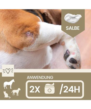 Zinc Ointment for Horses Dogs & Cats - 250ml Wound Healing Cream & Eczema Relief - Buy Online on GoSupps.com