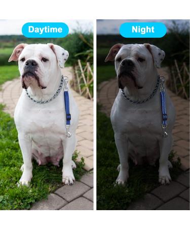Firtink Dog Collar Clips 4 Pcs Reflective Nylon Collar Leash Adjustable Safety Dog Collar Clip Double Ended Backup Clasp Clip for Dog Harness Pet(Black Blue Pink Grey) - Buy Online on GoSupps.com