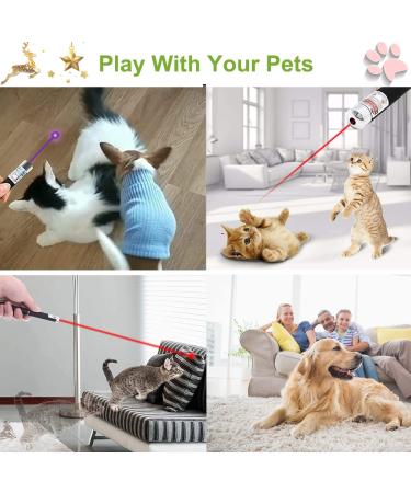 3 PCS Long Range Dot Clicker Toy Pen for Indoor Interactive Teaching - Green Red Violet | Cat Puppy Kitten Lazer Toy | Bright Clicker for Dog Cat Training Exercise - Buy Online on GoSupps.com