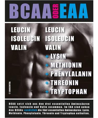 EAA Powder - CrossVital Lemon & Lime | Vegan 500g | With Vitamin B6 | Mega Taste | Instant Solubility | Made in Germany - Buy Online on GoSupps.com