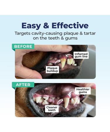 Vetnique Dentabliss - Dog Teeth Cleaning Finger Mitt Dental Wipe - Dog Plaque and Tartar Prevention with Brushing Beads - Convenient Dog Teeth Wipes with Peppermint Dog Breath Freshener 50ct - Buy Online on GoSupps.com