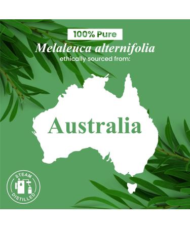 Handcraft Blends Purifying Body Set: Fractionated Coconut Oil (16 Fl Oz) and Tea Tree Essential Oil (4 Fl Oz) 100% Pure & Natural for Clean Skin Feet and Scalp - Buy Online on GoSupps.com