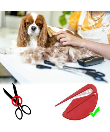 5 PCS Cat Comb Pet Knotting Comb Pet Comb Dog Knot Remover Letter Opener Pet Open Knot Comb for Cat & Dogs Pet Dematting Comb Hair Knot Remover Dematting Comb for Cats - Buy Online on GoSupps.com