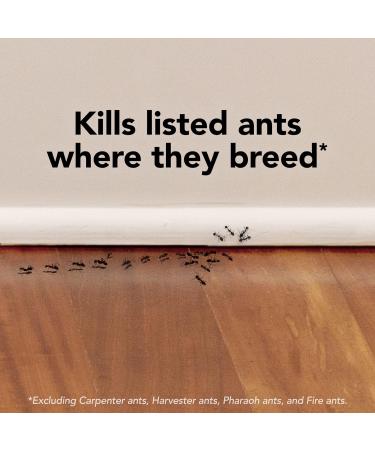 Raid Ant Killer Baits And Traps For Indoor Use Child Resistant 4 Count Trap 4 Count - Buy Online on GoSupps.com