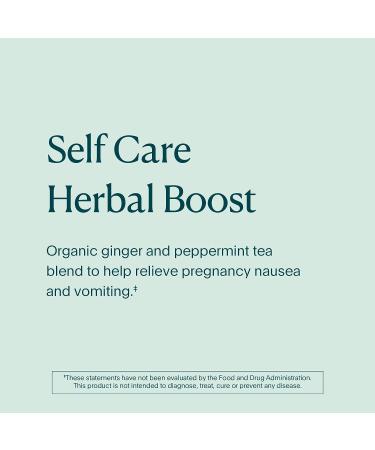 NATALIST Nausea Relief Tea: Calming Plant-Based Blend for Pregnancy Morning Sickness - Organic Ginger & Peppermint - Vegan & Gluten-Free - 20 Bags - Buy Online on GoSupps.com