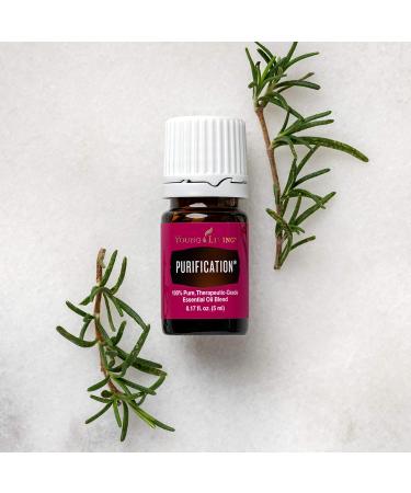 Young Living Purification Essential Oil Blend - 5 ml - 6 Unique Oils Formula - Buy Online on GoSupps.com