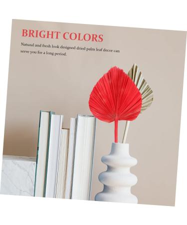 Alipis Simulated Cattail Fan Wedding Layout Palm Leaf Dried Palm Spears Home D cor Vase Art Ornament Faux Plant Italian Ruscus Woven Hand Held Fan Decor Fans Palm Leaves Hamster Monstera Red 50x28cm - Buy Online on GoSupps.com