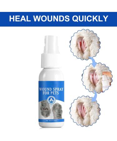 30ml Dog Cat Spray Bandage Plasters Pet Kitten Puppy Wound Healing Liquid Spray Waterproof Breathable Pet Supplies Pet Wound Spray For Cats Pet Wound Spray For Dogs Pet Wound Spray No Lick - Buy Online on GoSupps.com