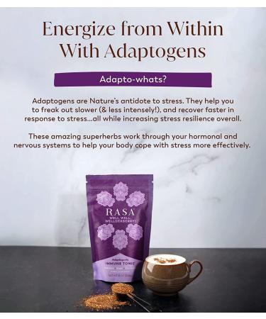 Rasa Wellderberry Adaptogenic Mushroom Coffee Alternative | Vegan Keto Ayurveda Wellness Tonic with Chaga + Reishi (8 oz. / 30 Servings) - Buy Online on GoSupps.com