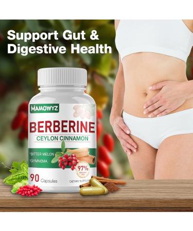 MAMOWYZ Berberine Supplement Berberine with Ceylon Cinnamon Activates AMPK Non GMO Vegan 180 Count Total - Buy Online on GoSupps.com