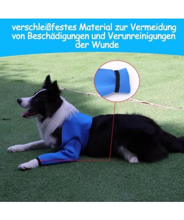 Gtobes XS Blue Dog Recovery Suit | Cone Collar Alternative | Abrasion-Resistant Washable & Waterproof | Prevents Licking Bites & Infections - Buy Online on GoSupps.com