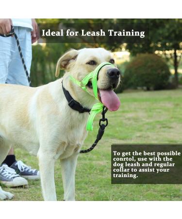 Dog Handlebars for Medium & Large Dogs - Soft Upholstery Durable Halter Training Instructions - L (17.8 - 35.6 cm) Green Nylon/Black Padding - Buy Online on GoSupps.com