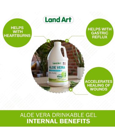 Land Art Organic Aloe Vera Gel - Unflavored | 64 fl oz - Cold-Processed Inner Fillet from Texas | Heartburn Relief | Acid Reflux Formula - Buy Online on GoSupps.com