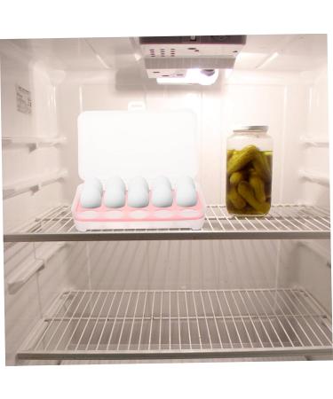 RORPOIR 2pcs 10 Eggs Storage Container Egg Carton Egg Keeper Egg Case Refrigerator Red Storage Box re-usable Red 24.5*10.5*7cm - Buy Online on GoSupps.com