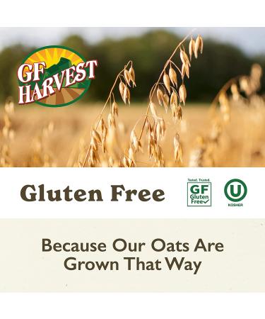 GF Harvest Gluten Free Whole Grain Oat Flour - 64 Ounces (2 Pack) - Buy Online on GoSupps.com