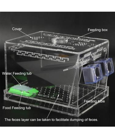 Cricket Pen Acrylic Cricket Feeding Box with Feces Layer Keep Cricket Feeding Neat and Tidy Convenient for Cricket and Pet(L) - Buy Online on GoSupps.com