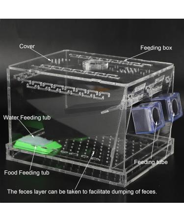 Cricket Keeper and Sturdy Cricket Keeper with Tubes for Home for Office (Large Size) - Buy Online on GoSupps.com