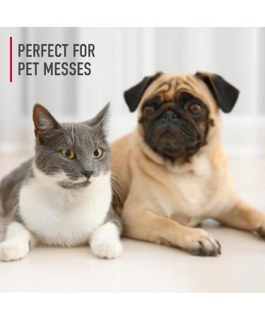 Hoover Pet Hard Floor Cleaner Fresh Breeze 32oz AH31430CA - Buy Online on GoSupps.com