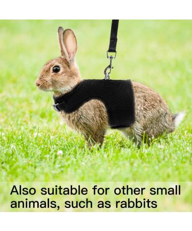 PUPTECK Soft Mesh Cat Vest Harness & Leash Set - Escape Proof for Cats, Small Dogs, Rabbits - X-Large, Black - Buy Online on GoSupps.com