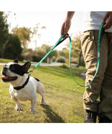Vivaglory Traffic Handle Dog Leash - Reflective Padded Strong Metal Hook - 1.8m Turquoise Training Line for Dogs - Buy Online on GoSupps.com